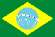 The national flag of Brazil