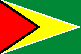 The national flag of Guyana