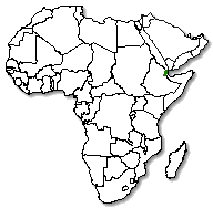 Djibouti is marked in green