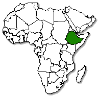 Ethiopia is marked in green